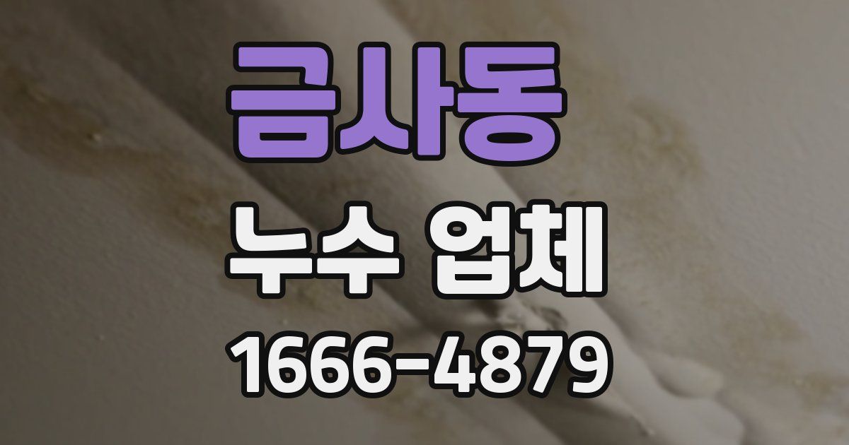 금사동 누수 업체