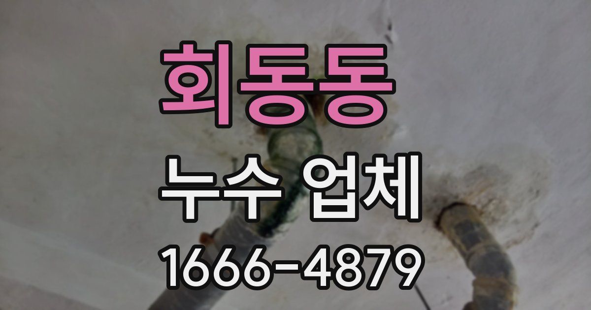 회동동 누수 업체