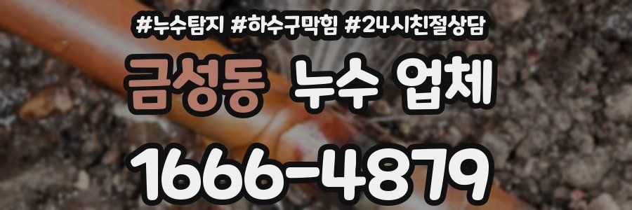 금성동 누수 업체