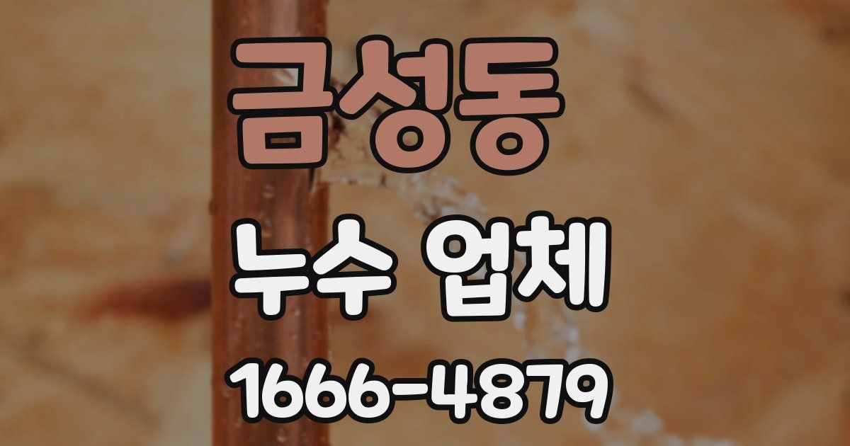 금성동 누수 업체