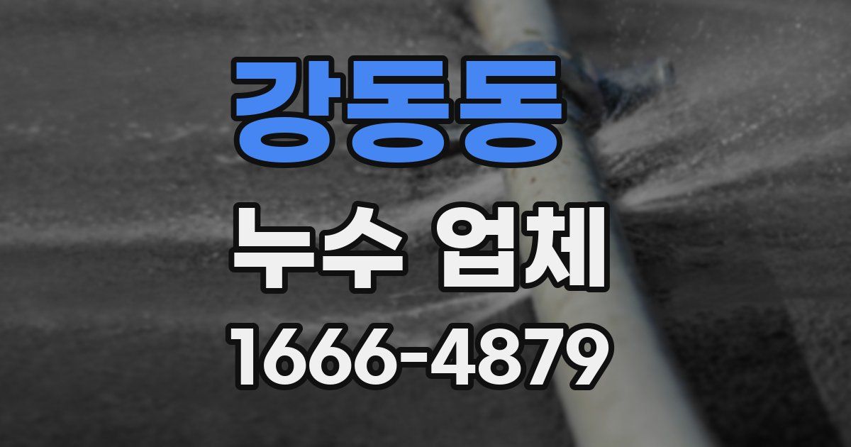 강동동 누수 업체