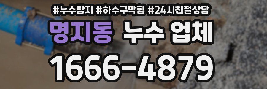 명지동 누수 업체