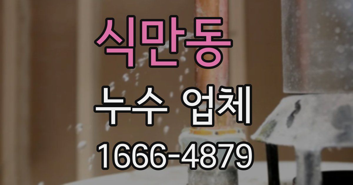 식만동 누수 업체