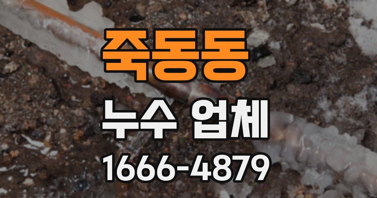 죽동동 누수 업체