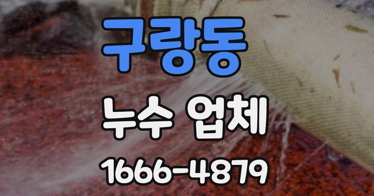구랑동 누수 업체