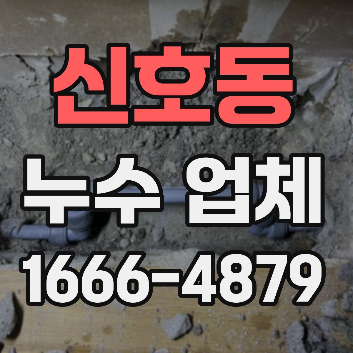 신호동 누수 업체