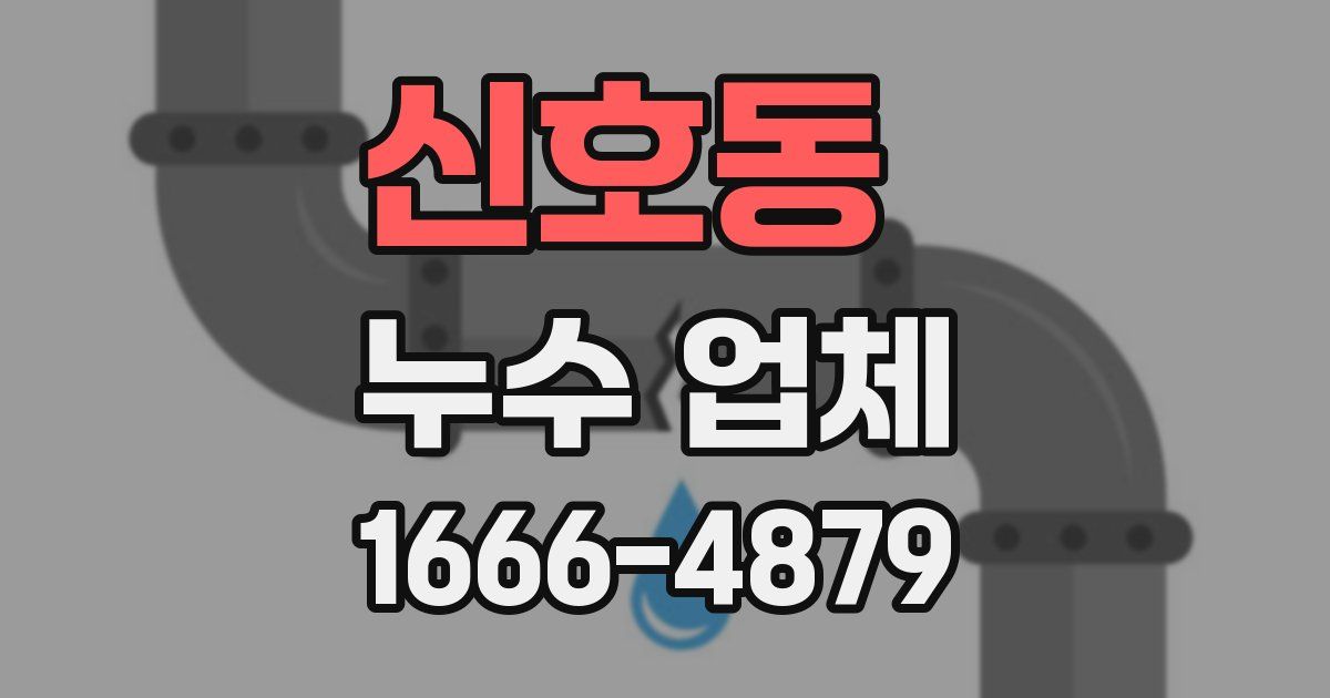 신호동 누수 업체