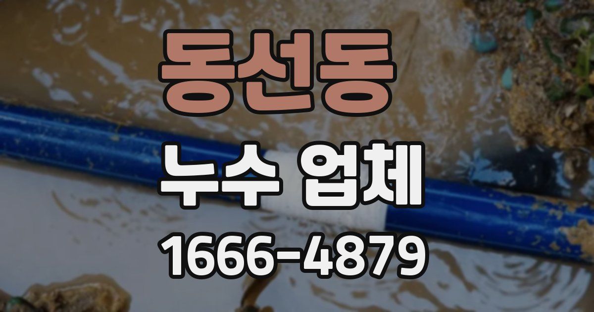 동선동 누수 업체