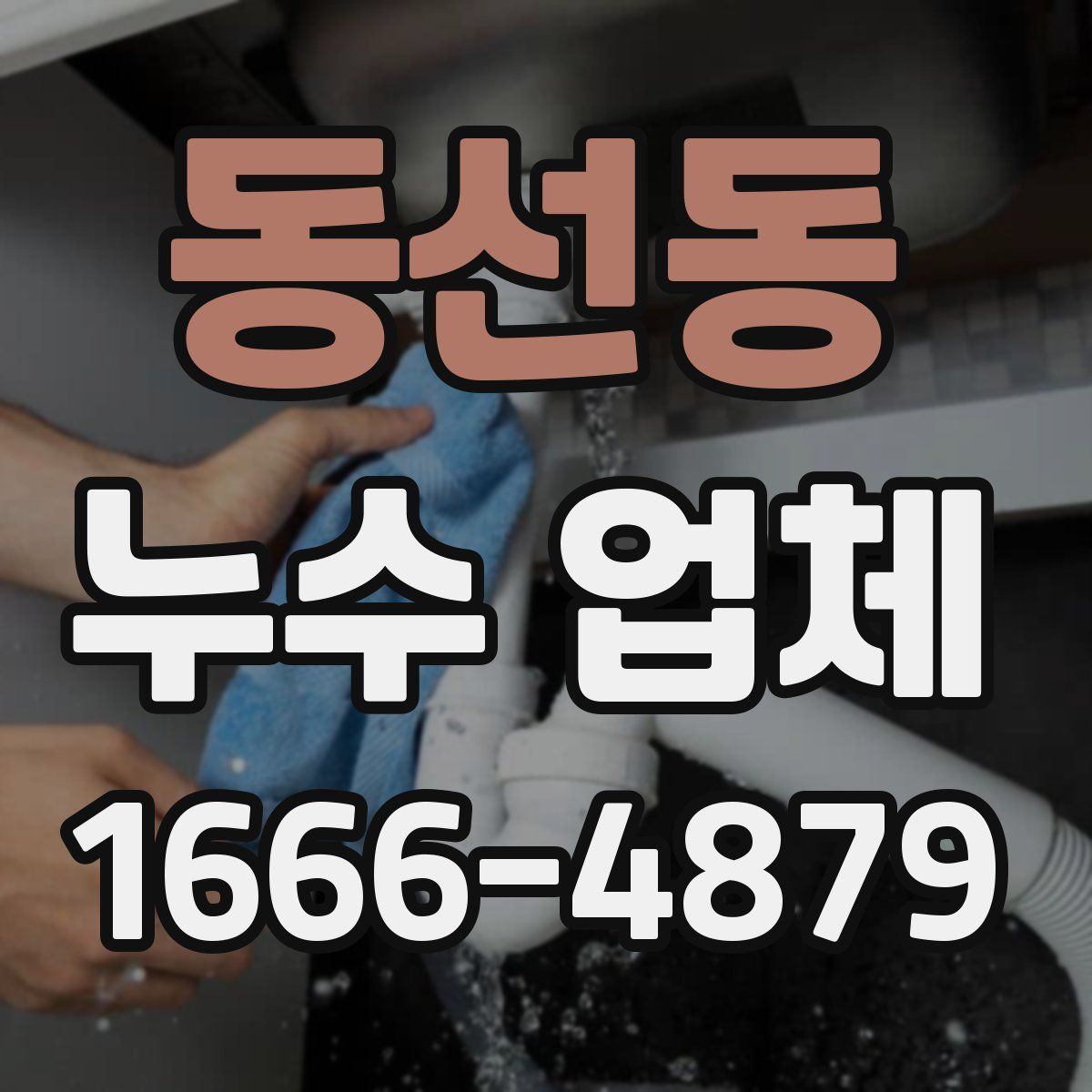 동선동 누수 업체