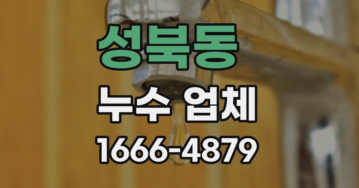성북동 누수 업체
