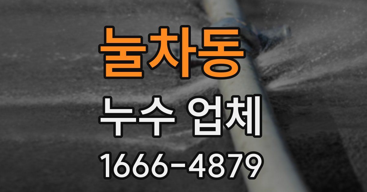 눌차동 누수 업체