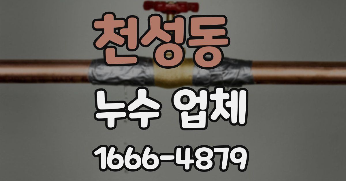 천성동 누수 업체
