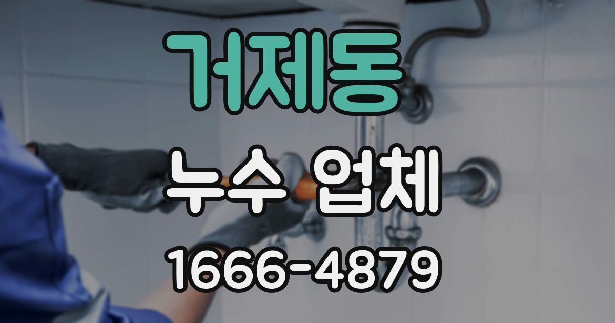 거제동 누수 업체