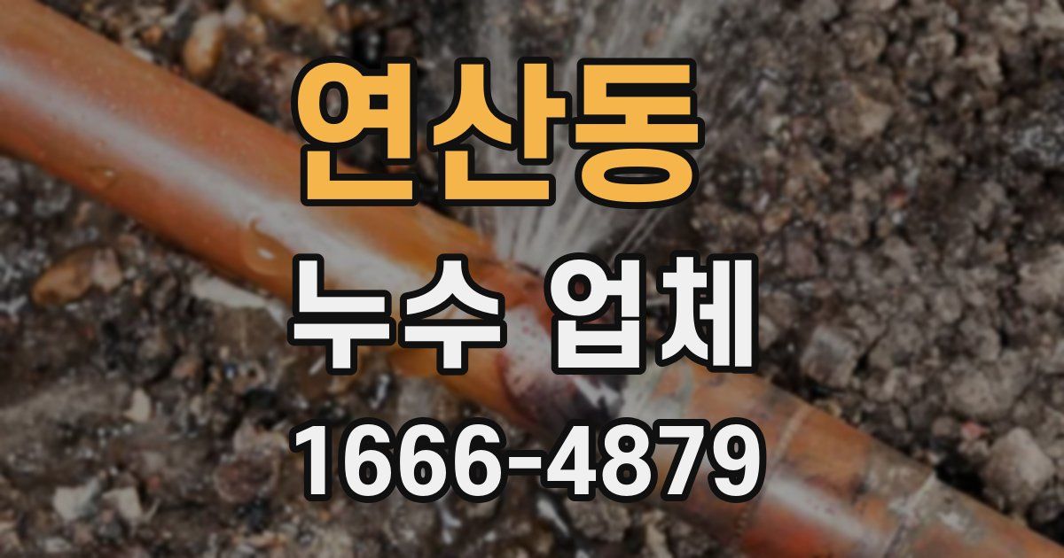 연산동 누수 업체