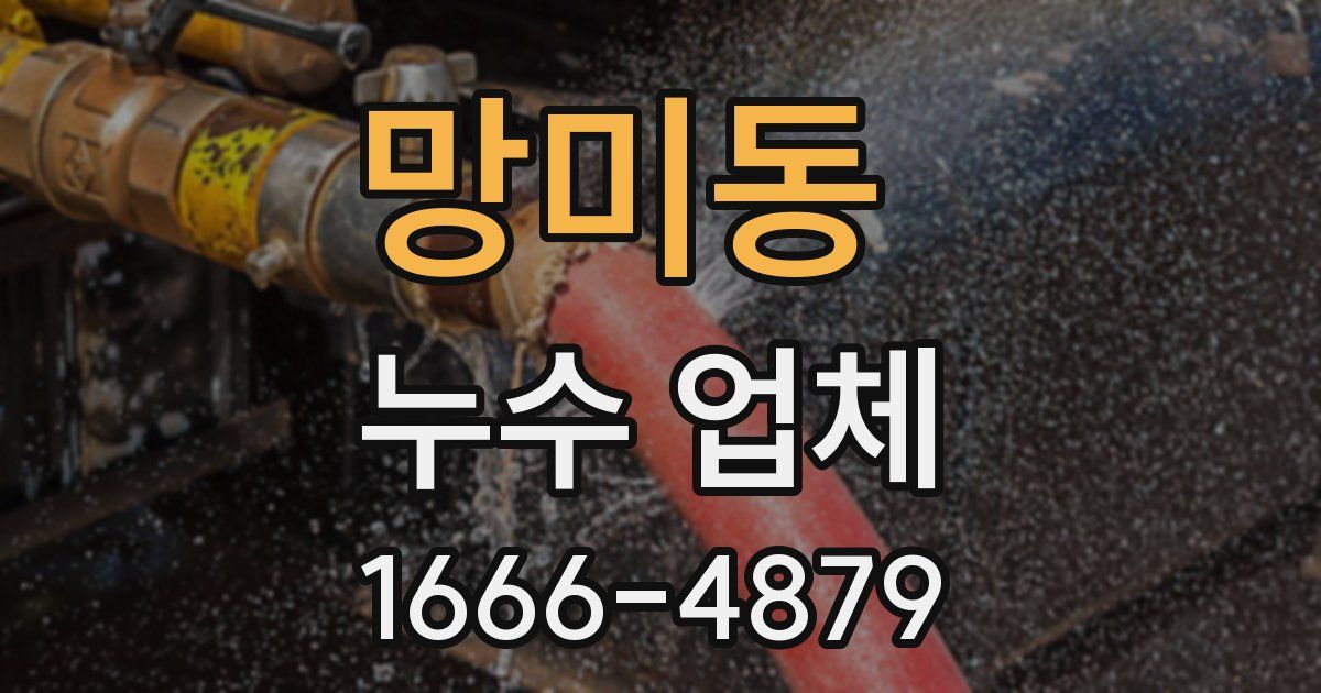 망미동 누수 업체