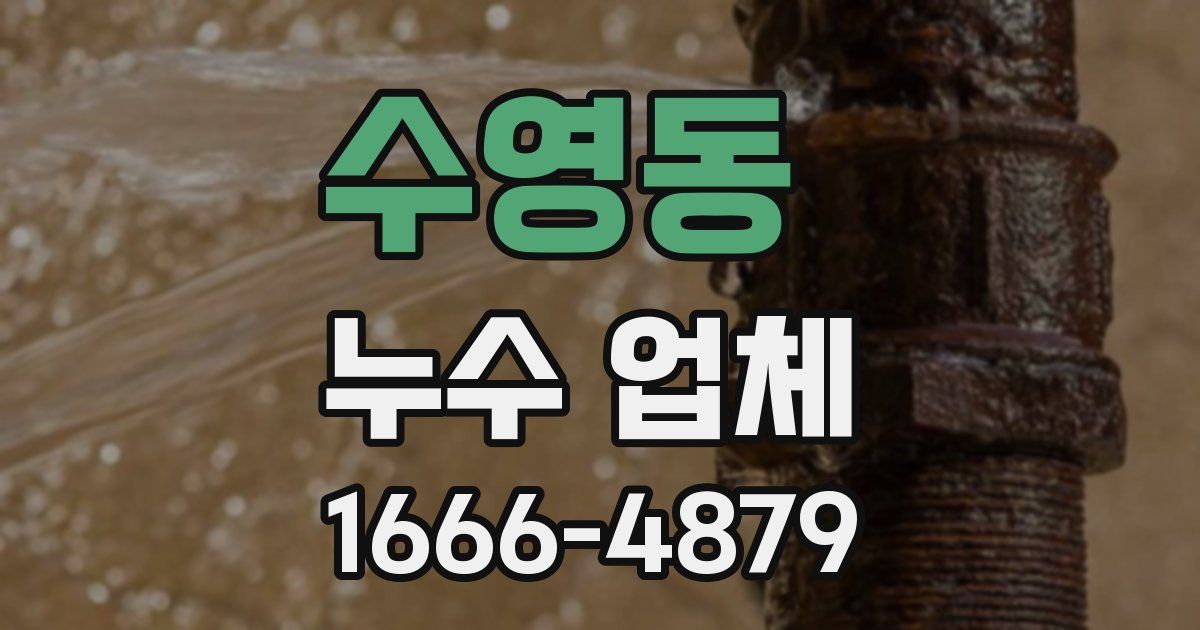 수영동 누수 업체