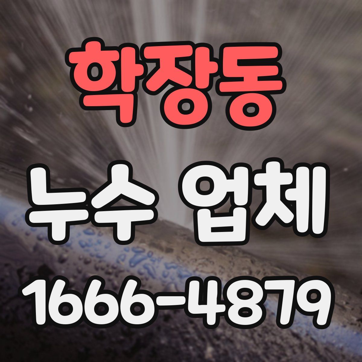 학장동 누수 업체