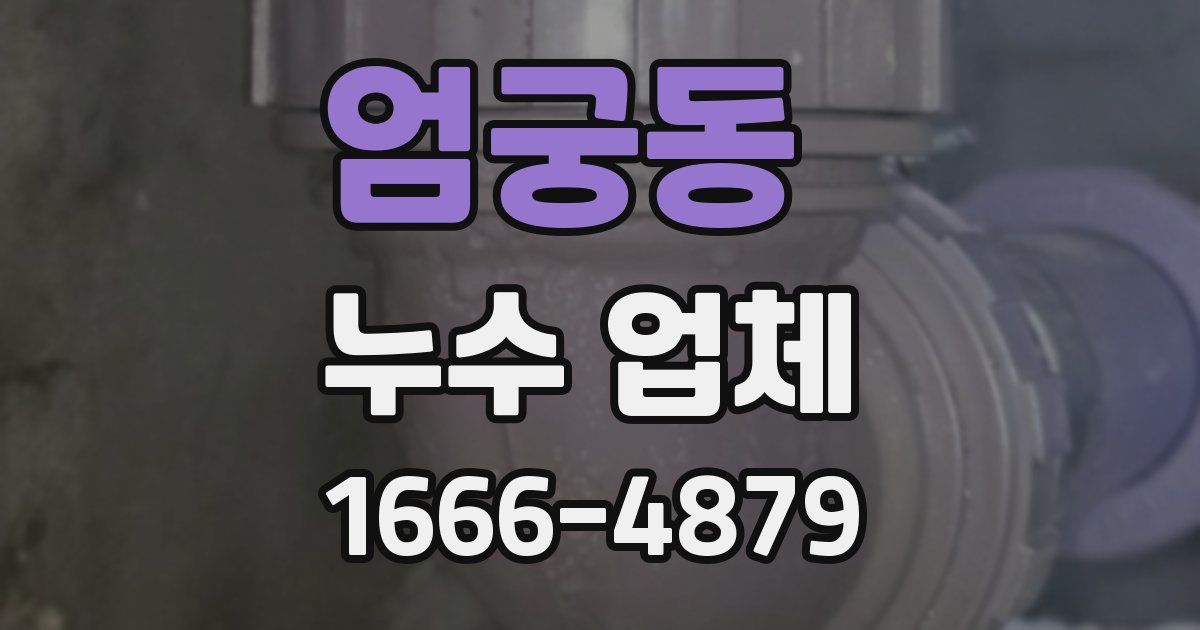 엄궁동 누수 업체