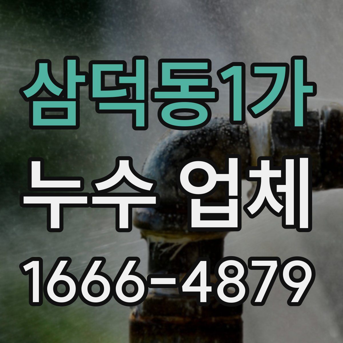 삼덕동1가 누수 업체