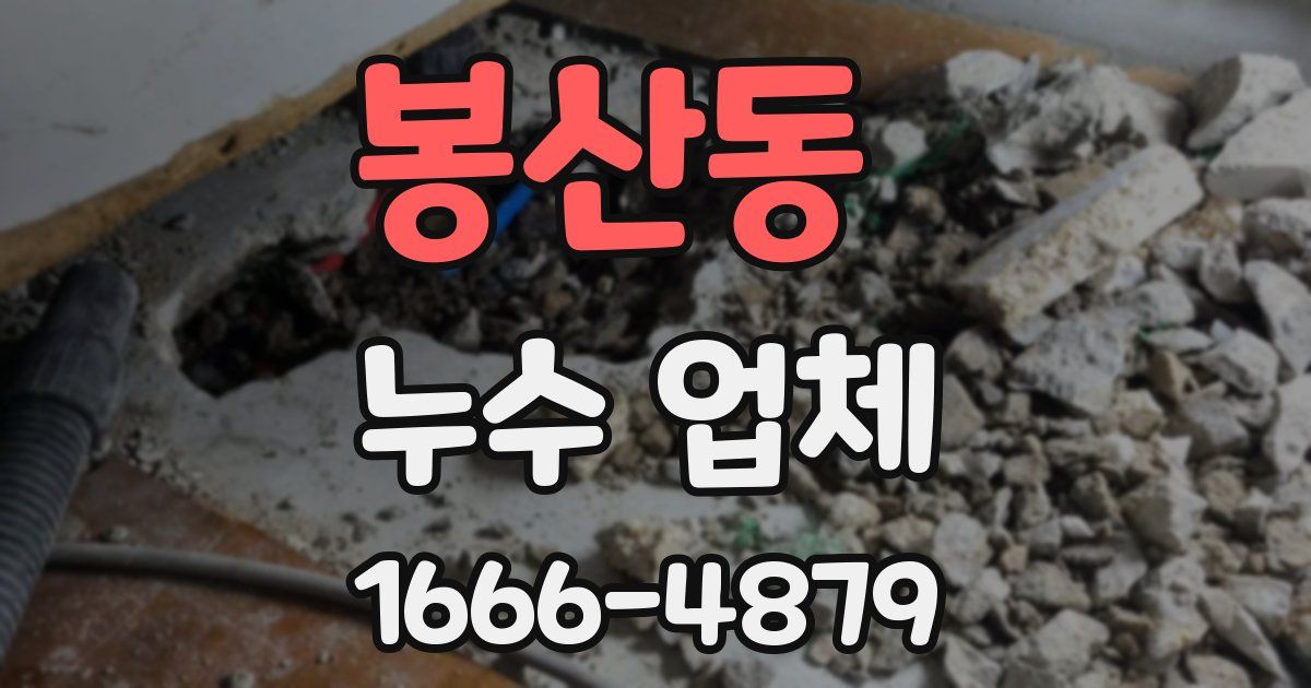 봉산동 누수 업체