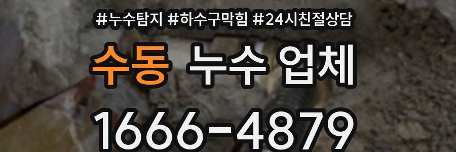 수동 누수 업체