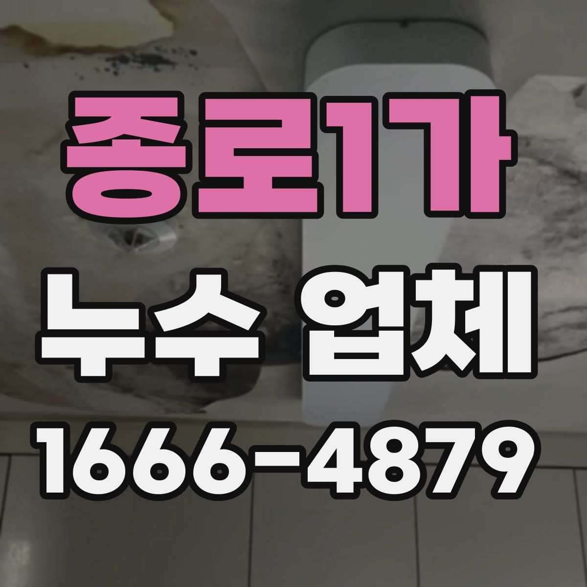 종로1가 누수 업체