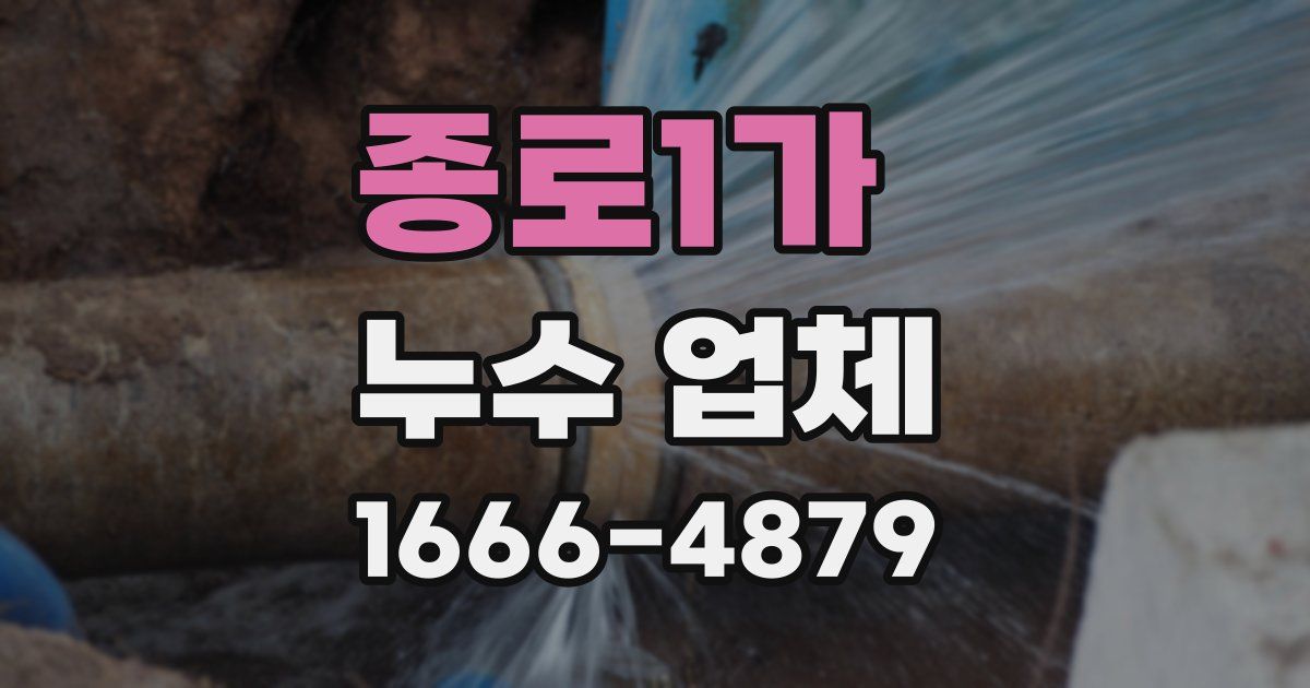 종로1가 누수 업체