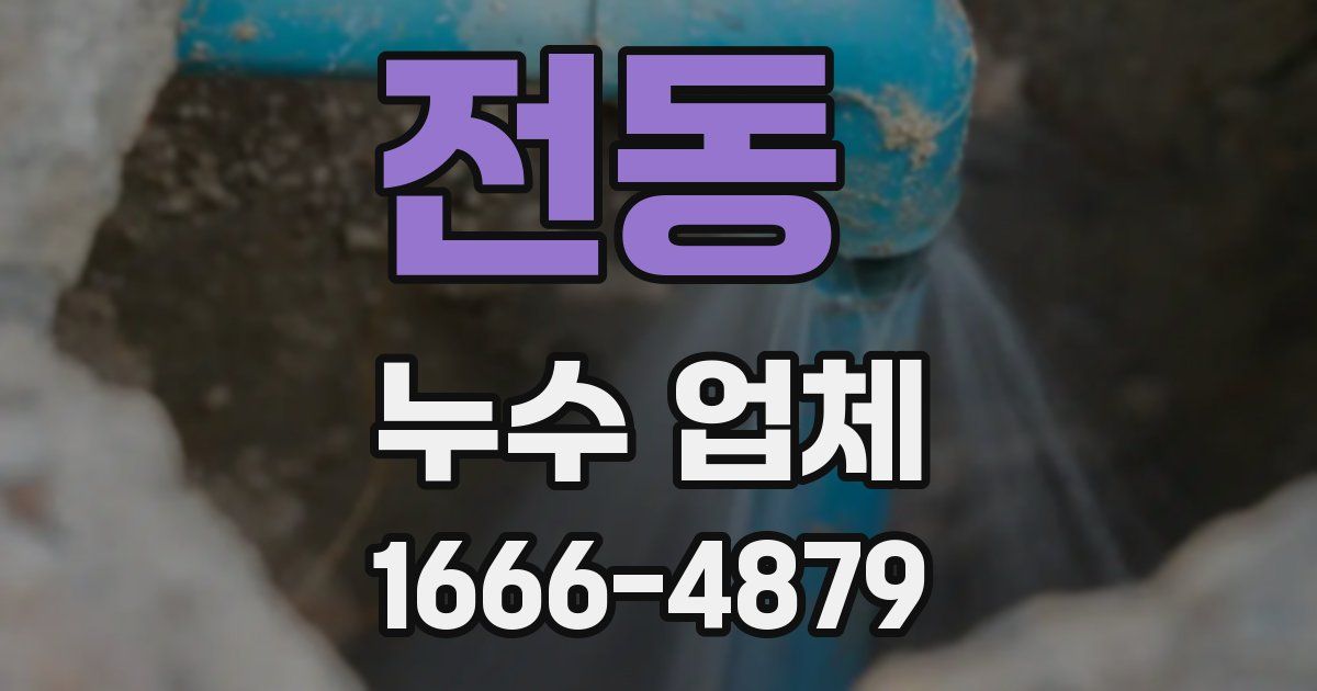전동 누수 업체