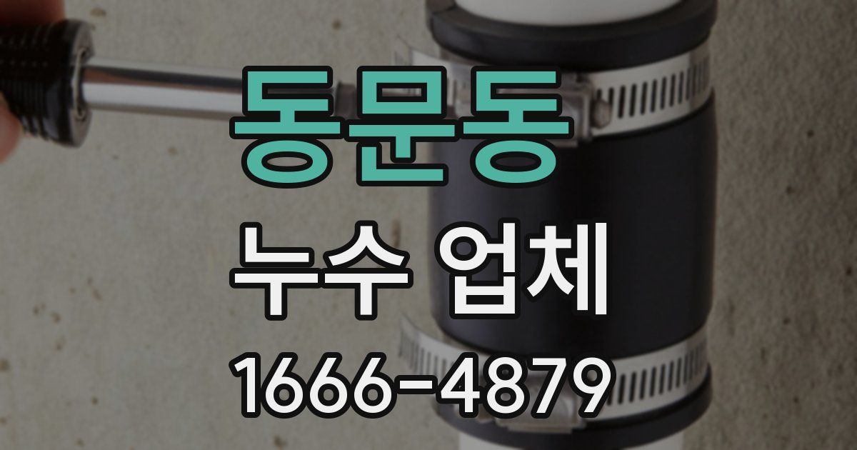 동문동 누수 업체