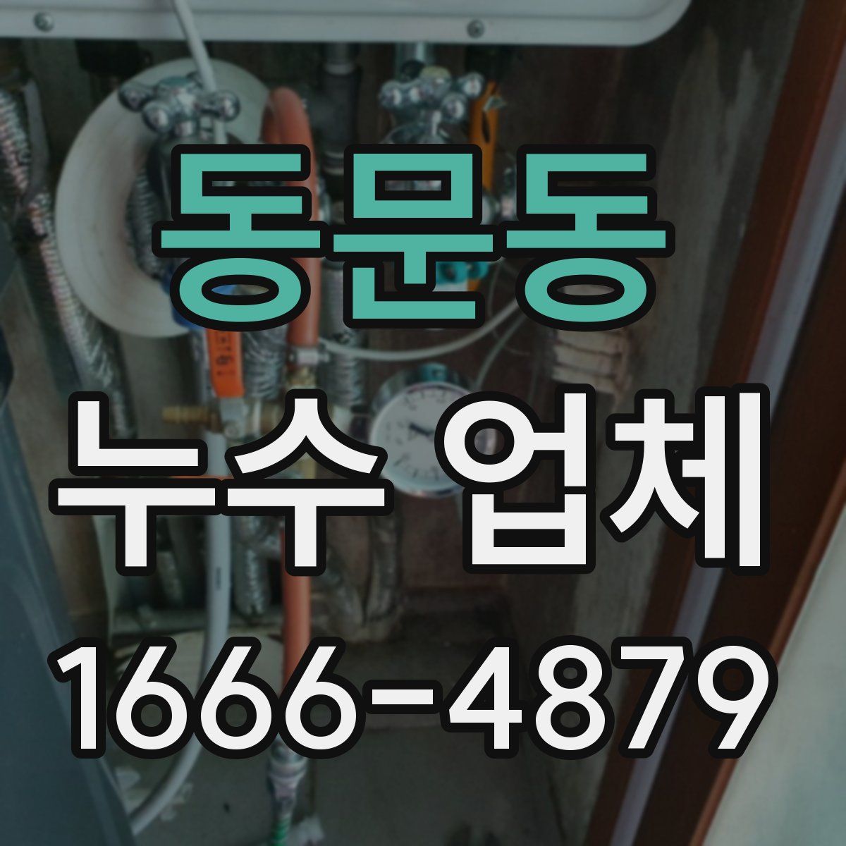 동문동 누수 업체