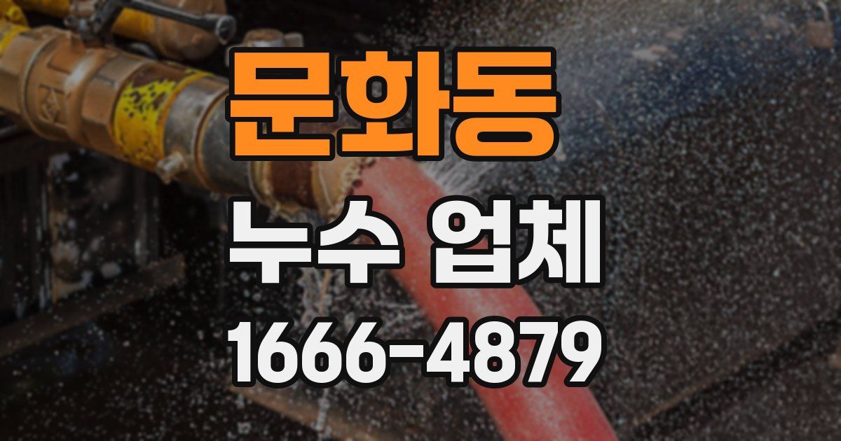문화동 누수 업체