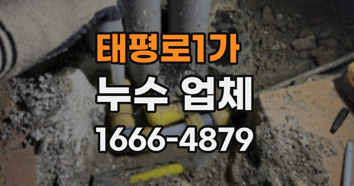 태평로1가 누수 업체