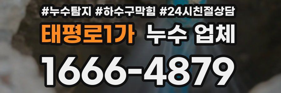 태평로1가 누수 업체