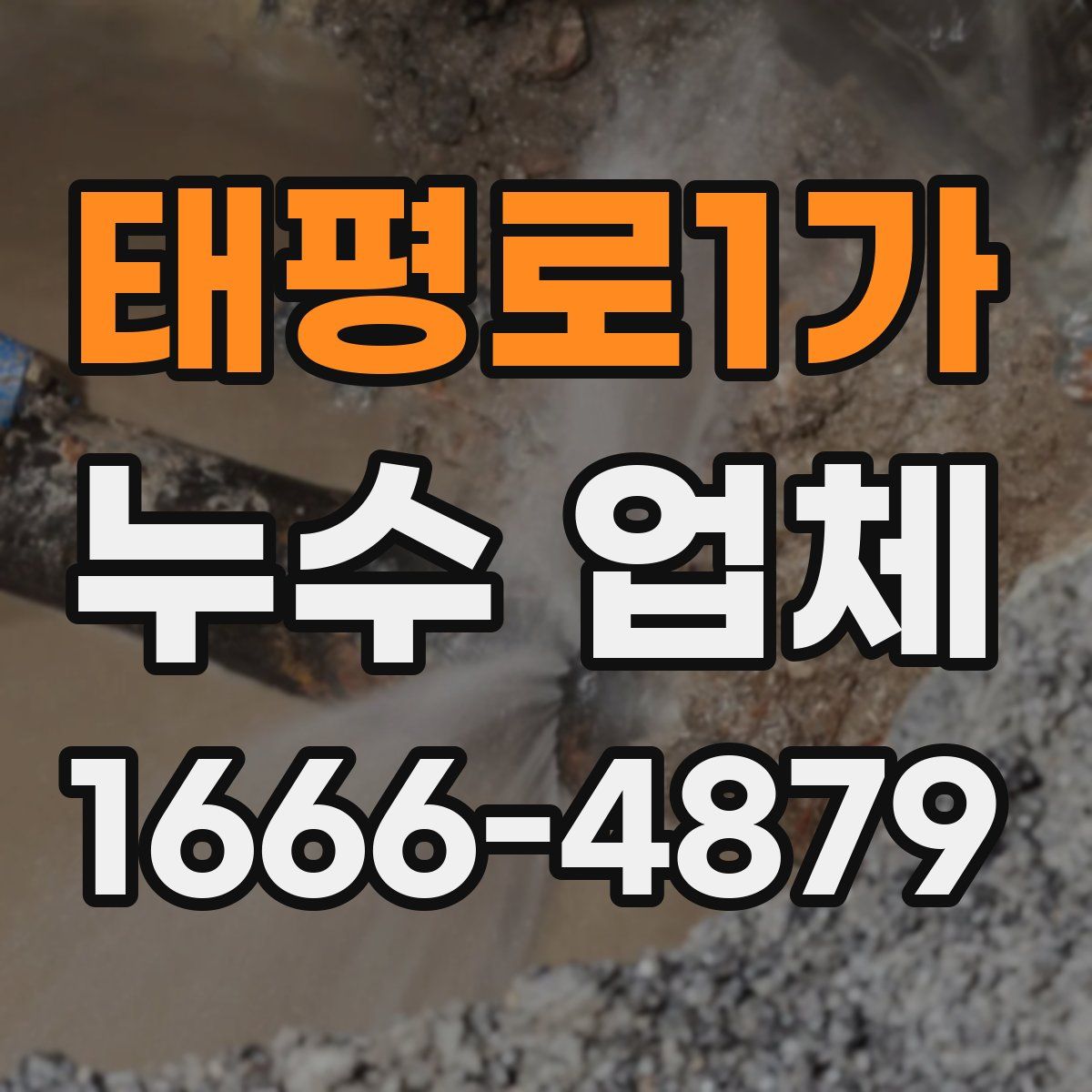 태평로1가 누수 업체