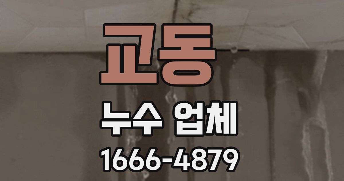 교동 누수 업체