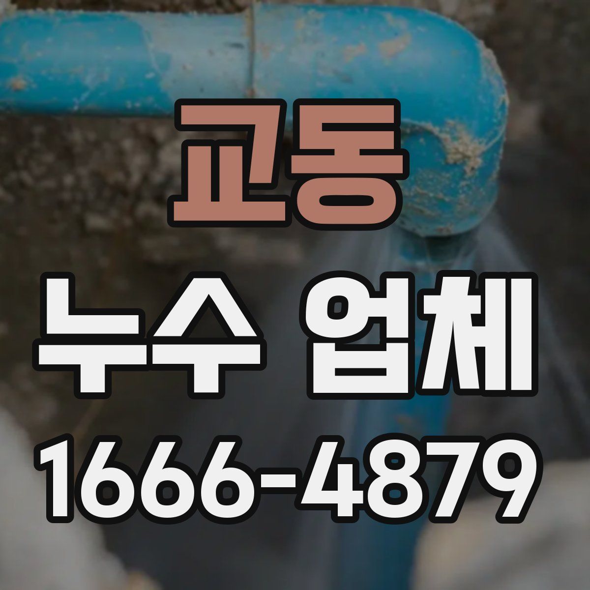 교동 누수 업체