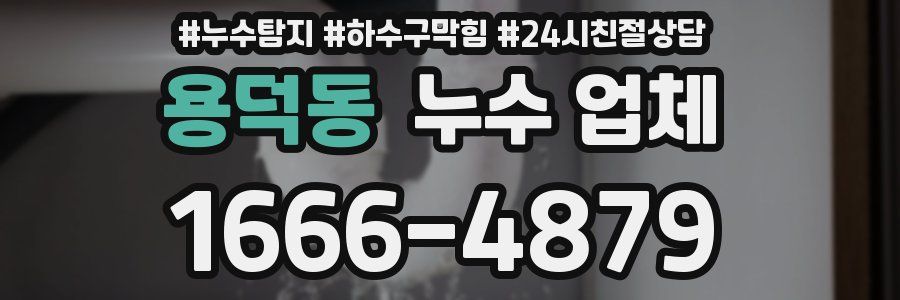 용덕동 누수 업체