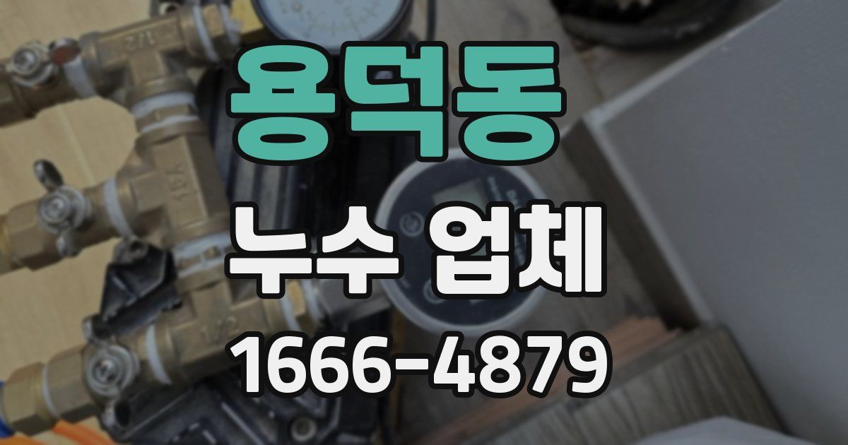 용덕동 누수 업체