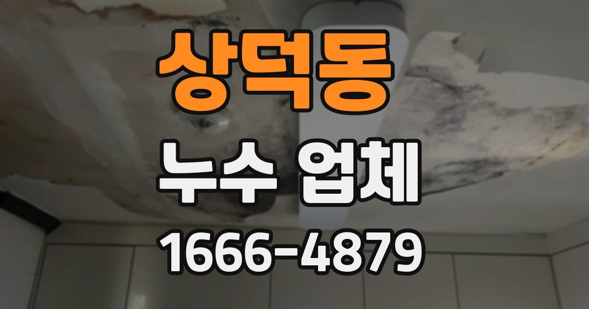 상덕동 누수 업체