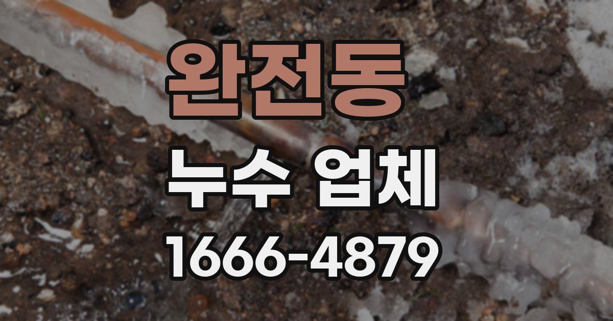 완전동 누수 업체