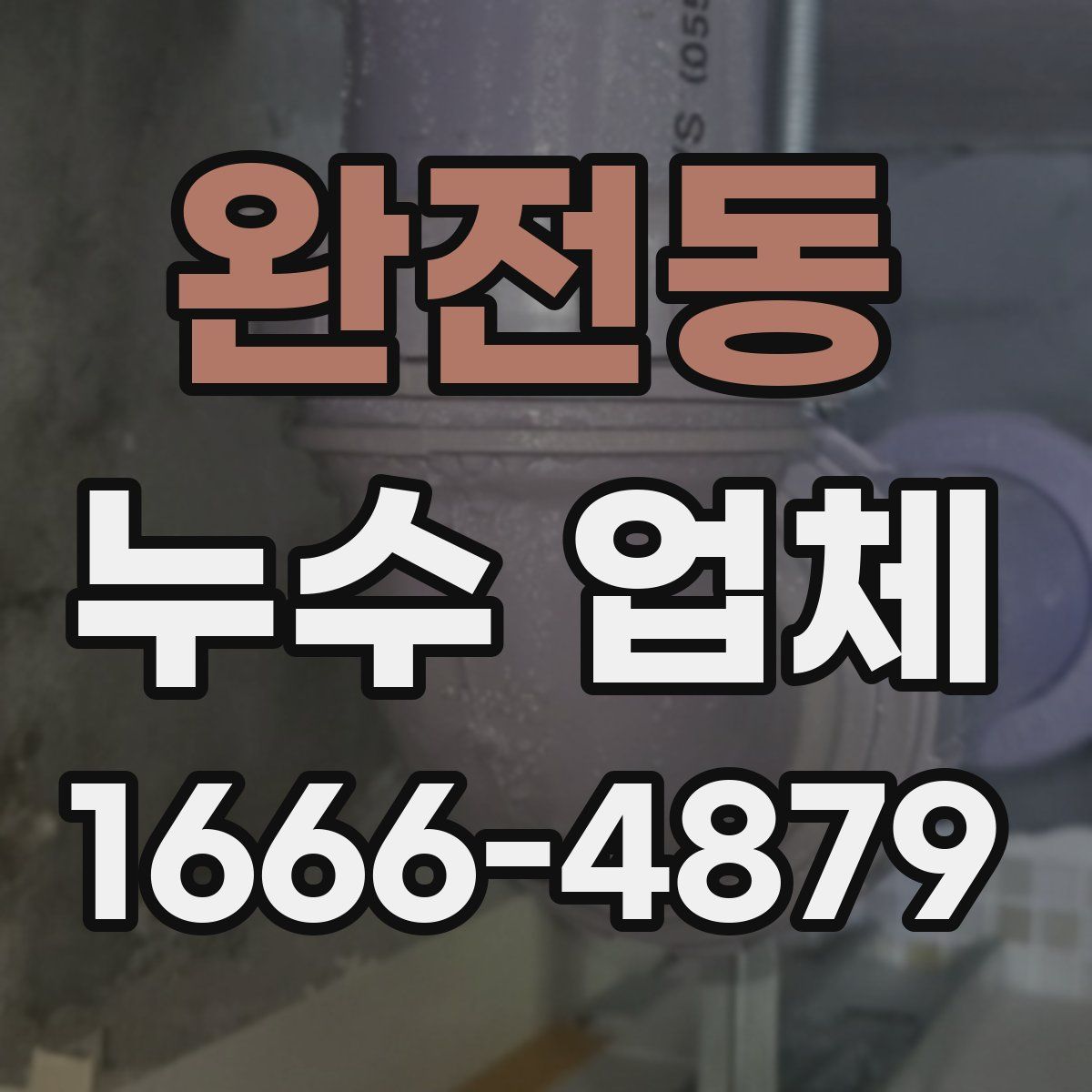 완전동 누수 업체