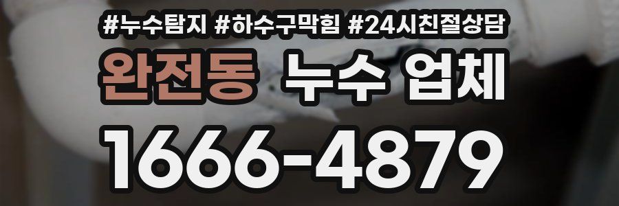 완전동 누수 업체