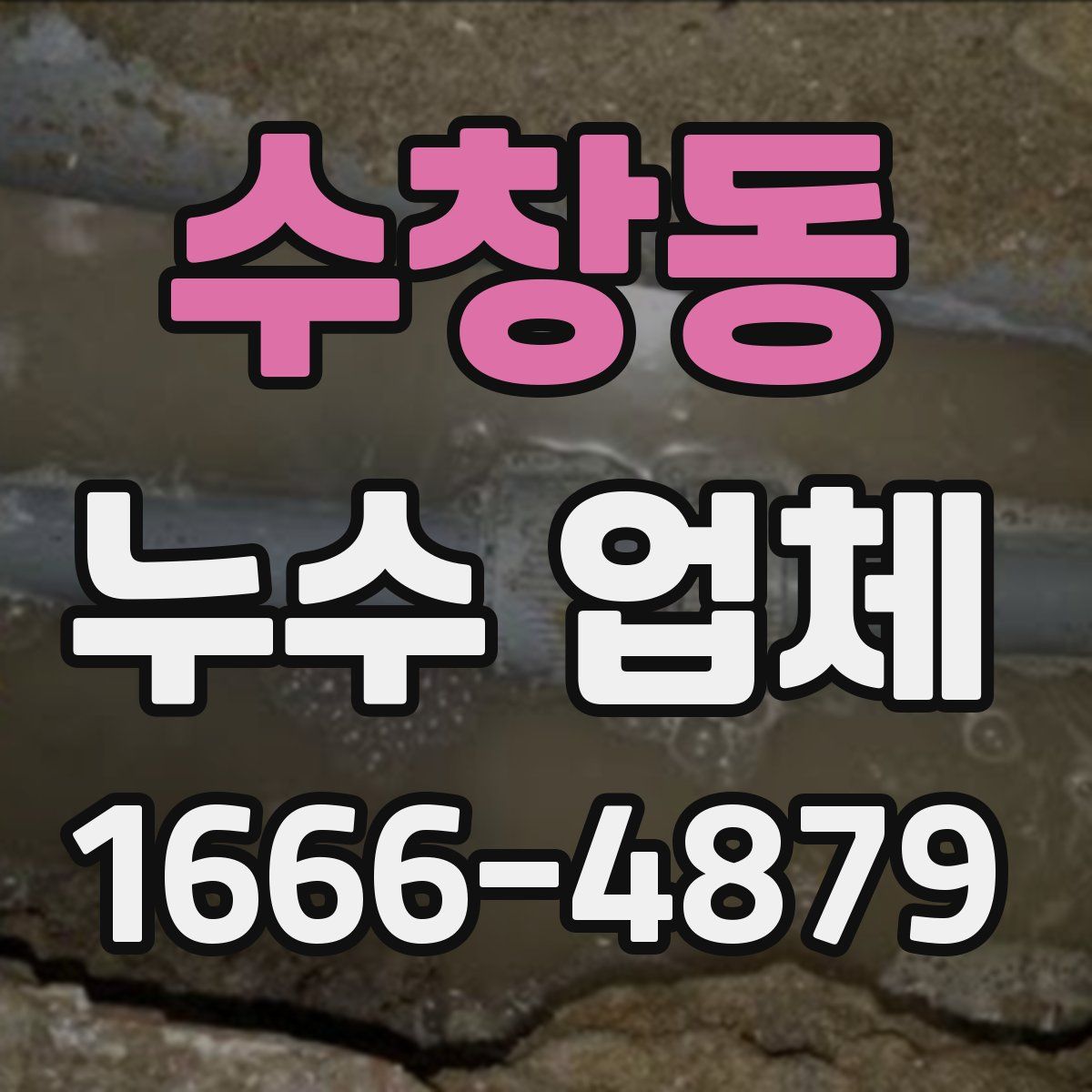 수창동 누수 업체