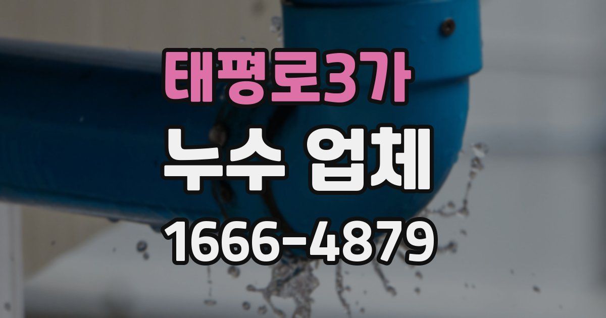 태평로3가 누수 업체