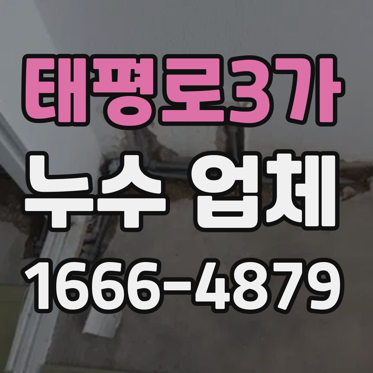 태평로3가 누수 업체