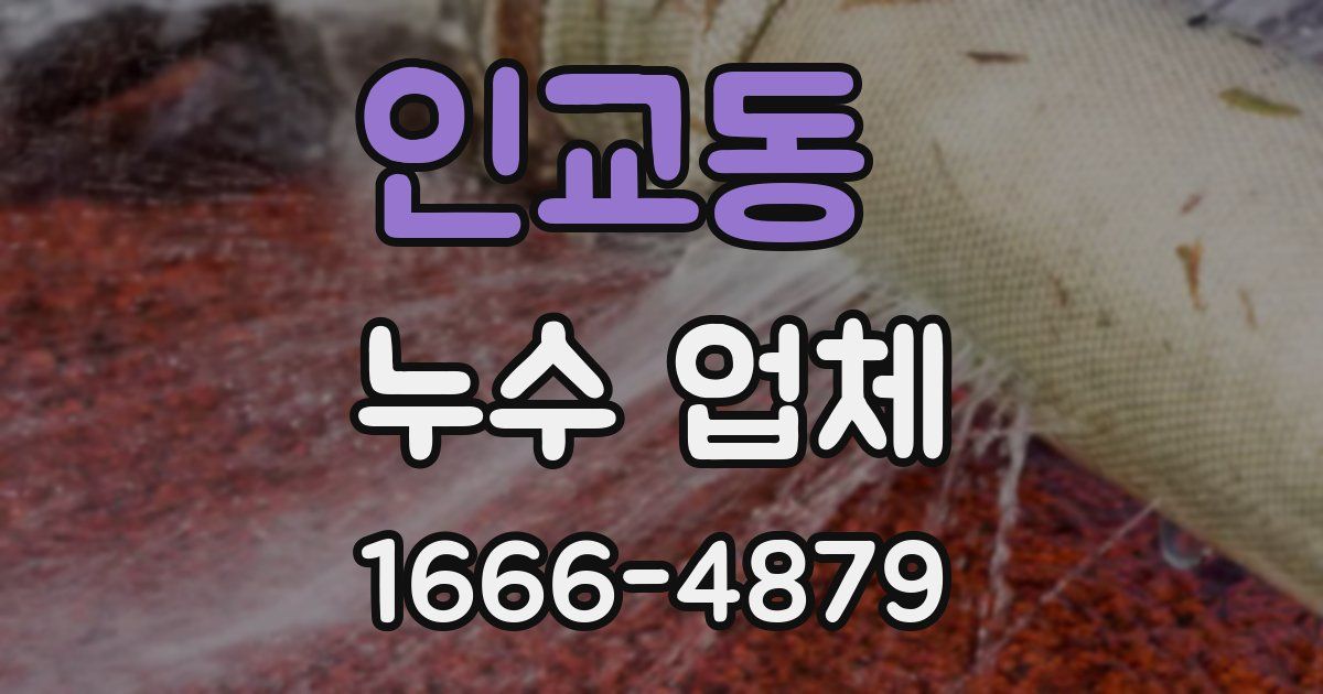 인교동 누수 업체