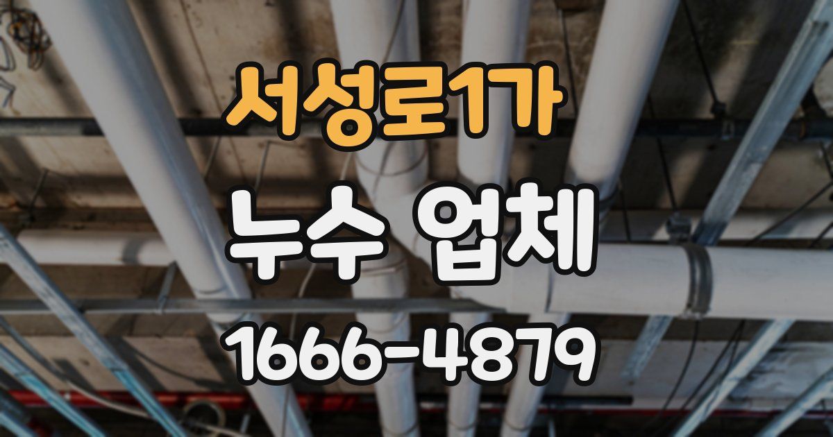 서성로1가 누수 업체