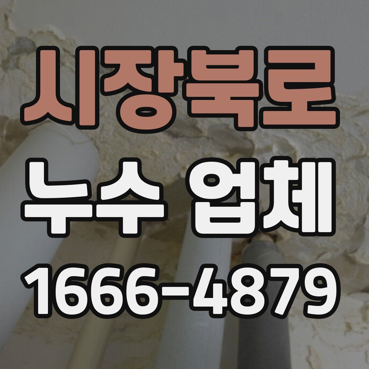 시장북로 누수 업체