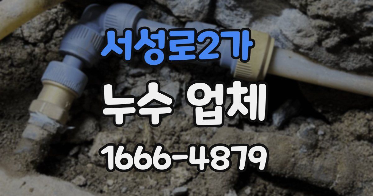 서성로2가 누수 업체