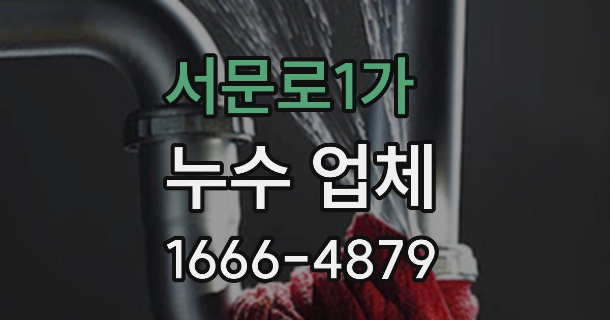 서문로1가 누수 업체